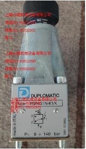 DUPLOMATIC�����^���PSP6/21N-K1/K�F(xi��n)؛�N��